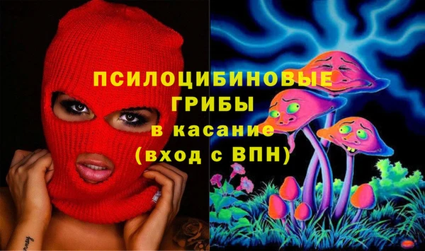 мдпв Балахна