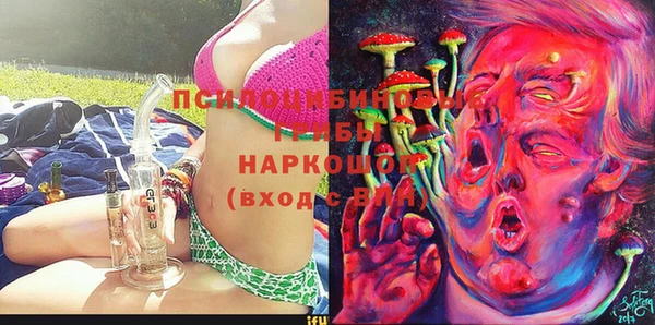 хмурый Балабаново