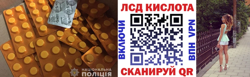 Купить закладки  Новоузенск  Лсд 25 экстази ecstasy 